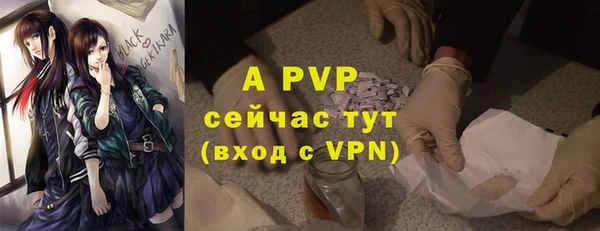гашиш Касимов