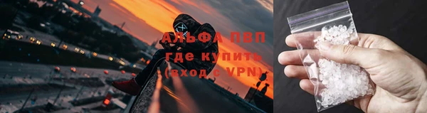 гашиш Касимов