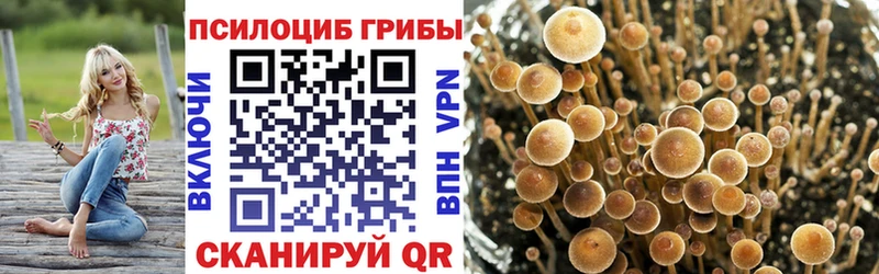 сайты даркнета какой сайт  Лыткарино  Галлюциногенные грибы MAGIC MUSHROOMS 